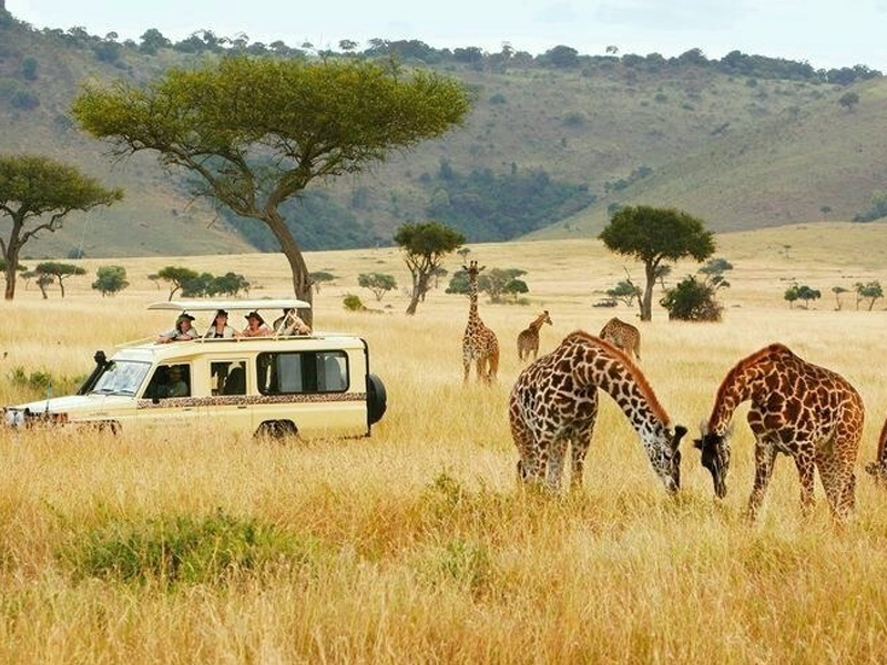 destination