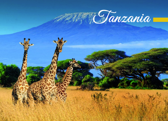 Tanzania Serengeti Safari & Zanzibar